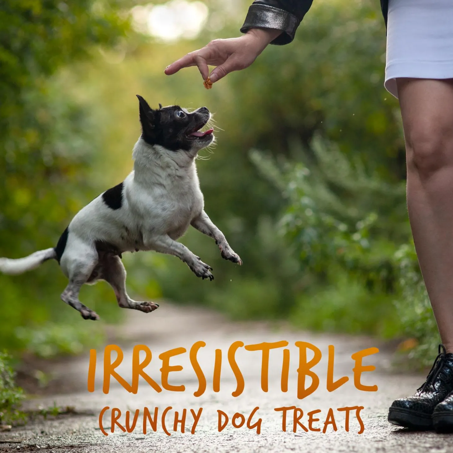 Skinny Minis Soft Pumpkin & Mango Flavour Dog Treats