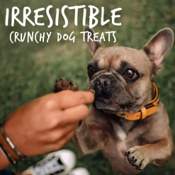 Skinny Minis Soft Rotisserie Chicken Flavour Dog Treats