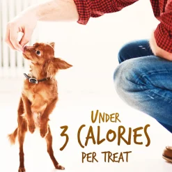 Skinny Minis Soft Rotisserie Chicken Flavour Dog Treats