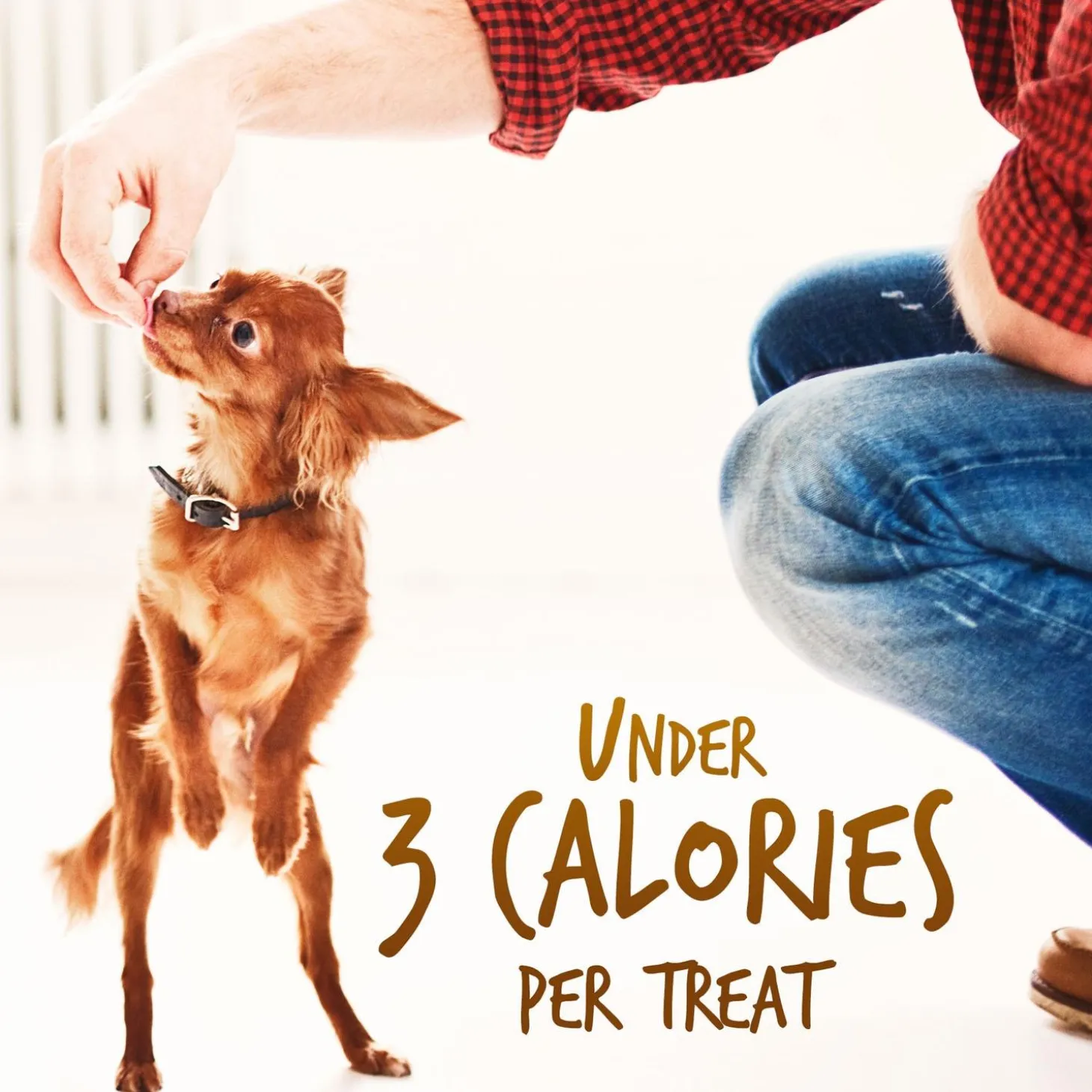 Skinny Minis Soft Rotisserie Chicken Flavour Dog Treats
