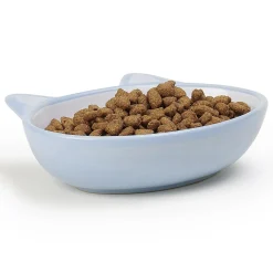 Sleepy Kitty Oval Blue Stoneware Bowl