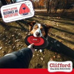 Sliding Flyer Dog Toy