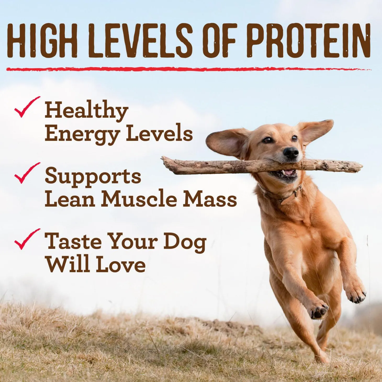 Slow Cooked BBQ Memphis Style with Glazed Chicken Adult Dog Food