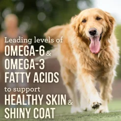 Slow Cooked BBQ Memphis Style with Glazed Chicken Adult Dog Food