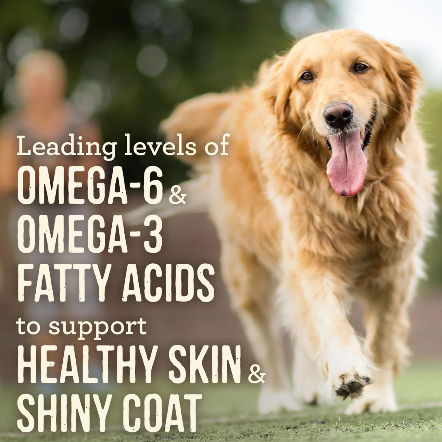 Slow Cooked BBQ Memphis Style with Glazed Chicken Adult Dog Food