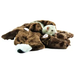 Small Animal Bear Rug