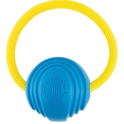 Small Looped Ball Green & Blue Dog Toy