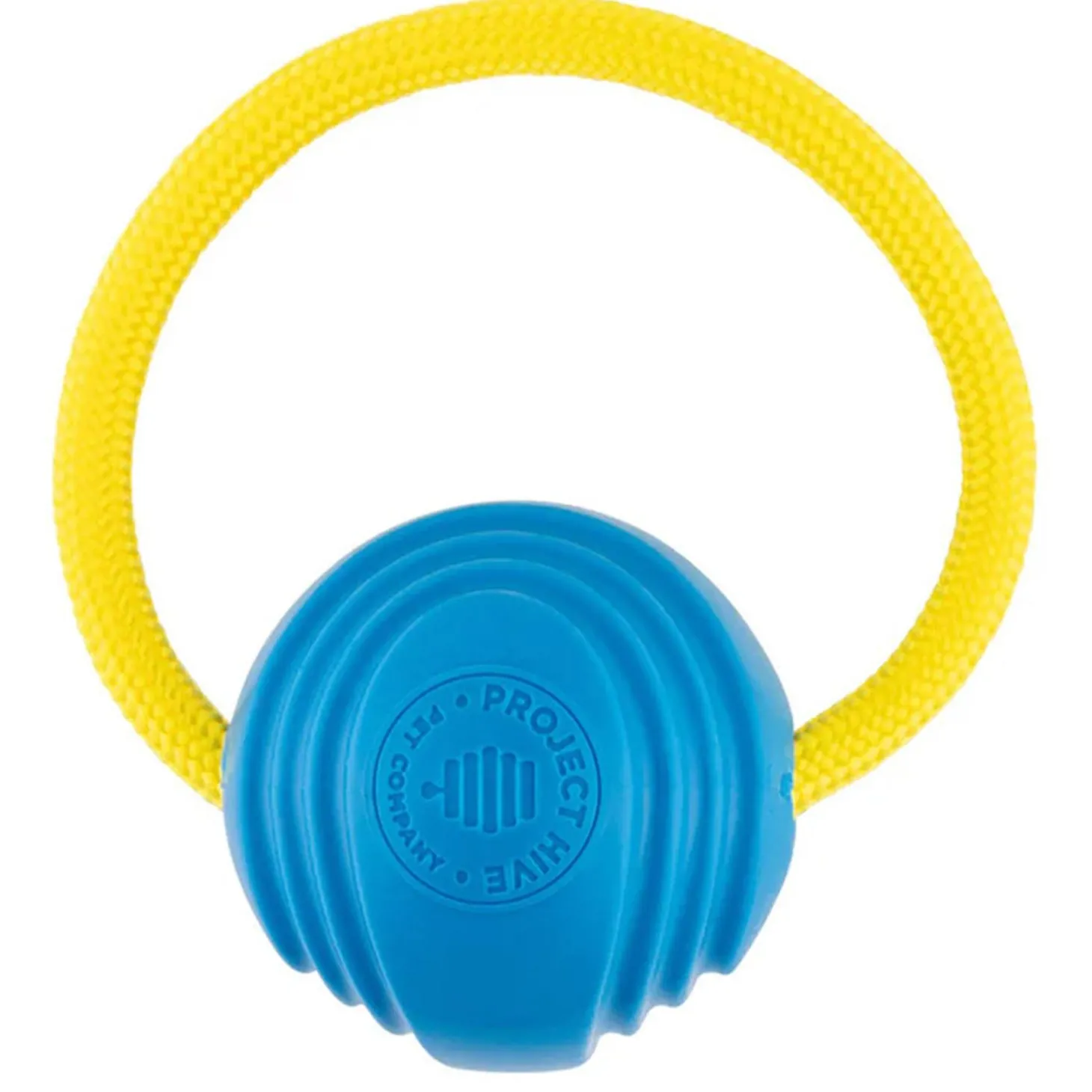 Small Looped Ball Green & Blue Dog Toy