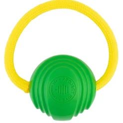 Small Looped Ball Green & Blue Dog Toy