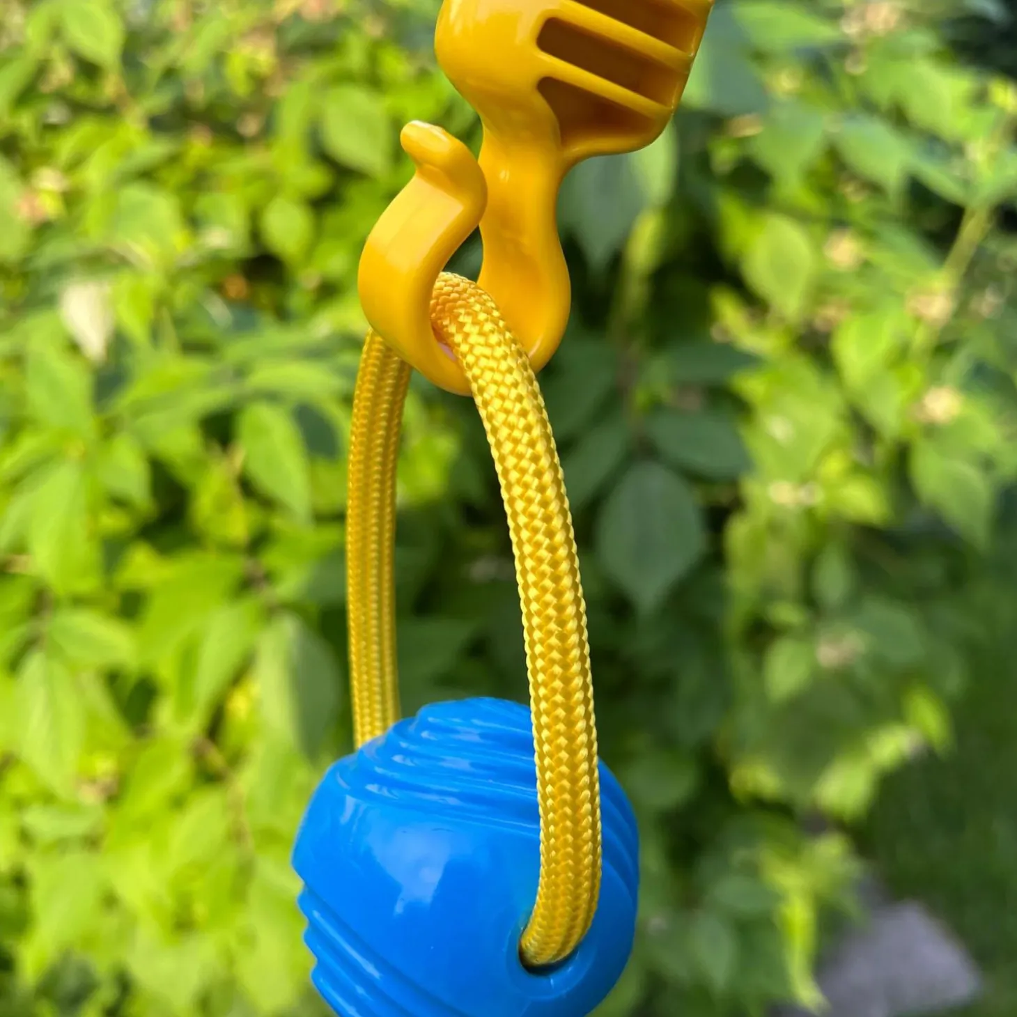 Small Looped Ball Green & Blue Dog Toy