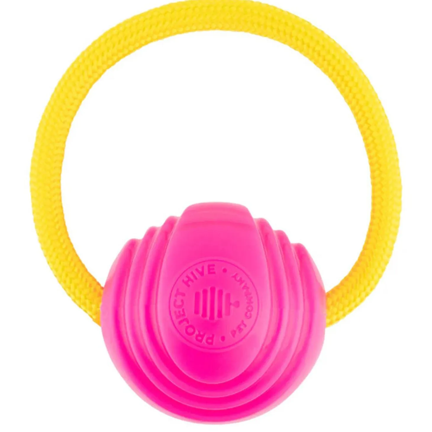 Small Looped Ball Pink & Blue Dog Toy