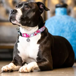 SMART ID Cherry Bloom Dog Collar