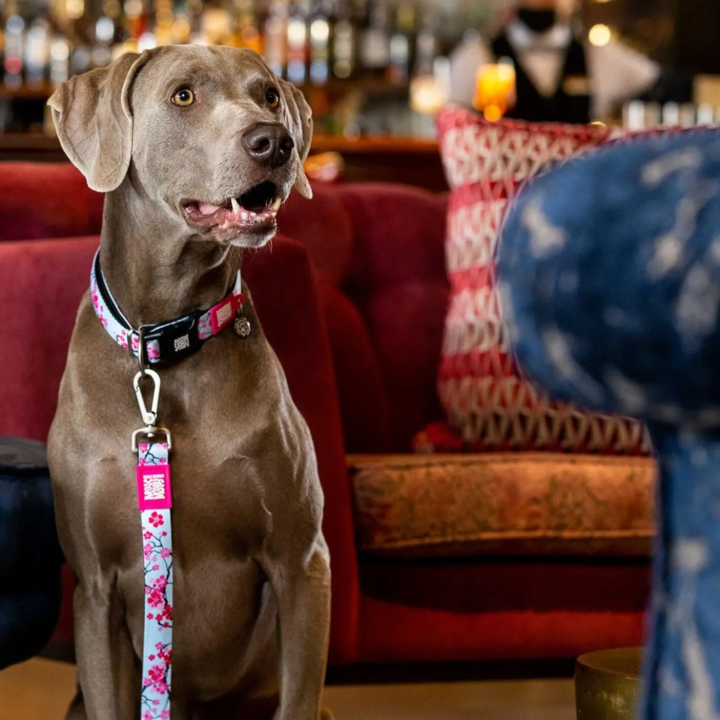 SMART ID Cherry Bloom Dog Collar