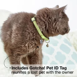 Smart ID Kiwi Cat Collar