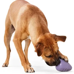Smart Stuffablz Hide a Treat Purple Dog Toy