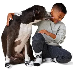 Snack Black & White Socks Set