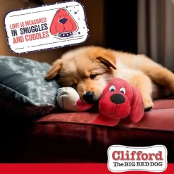 Snug Snuffy Mat Combo Dog Toy