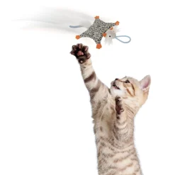 Soarin Squirrel Cat Toy