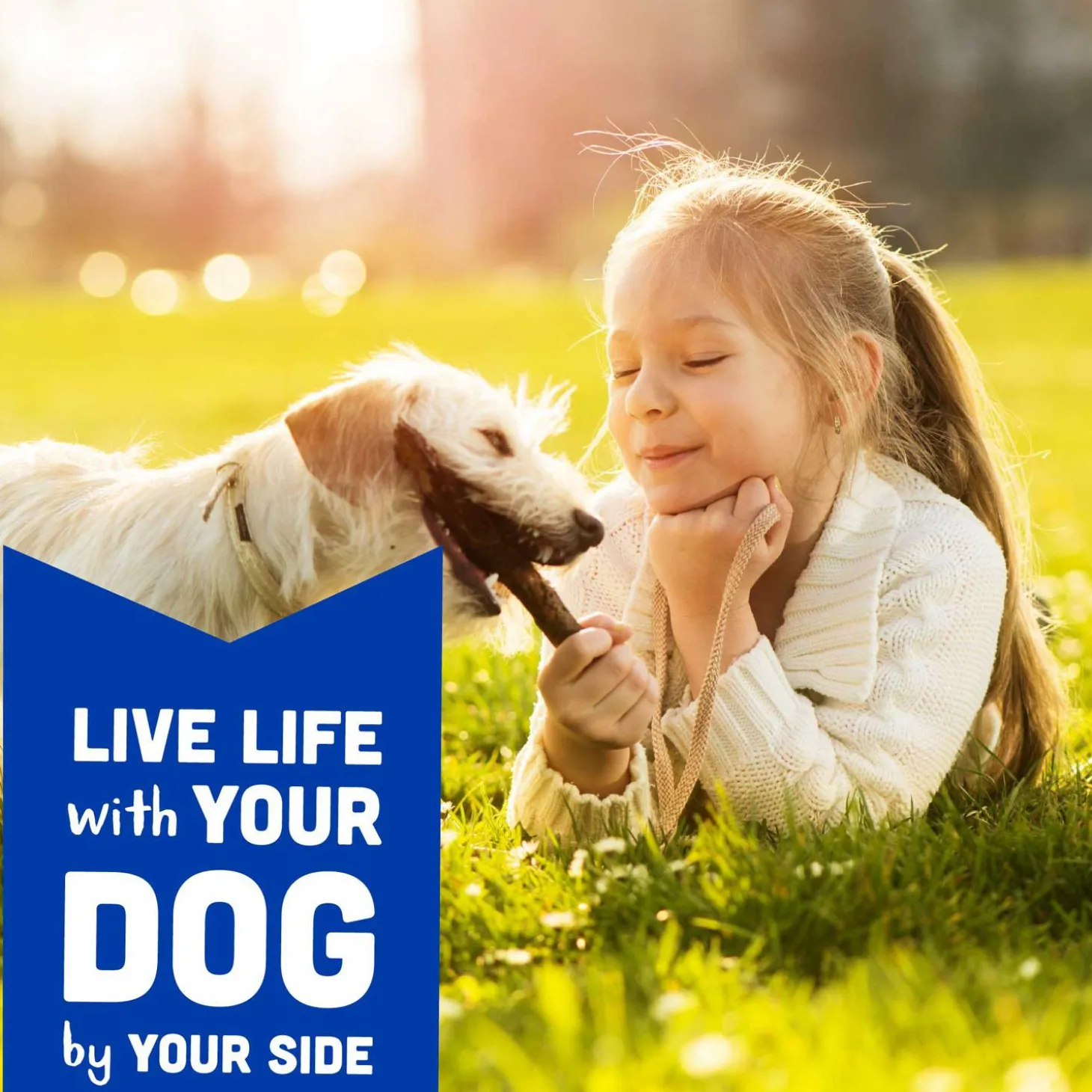 Soft Chews with Natural Bacon Cheese & Apples Dog Treats