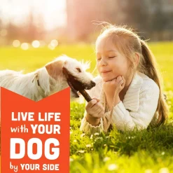 Soft Chews with Natural Creamy Peanut Butter Dog Treats