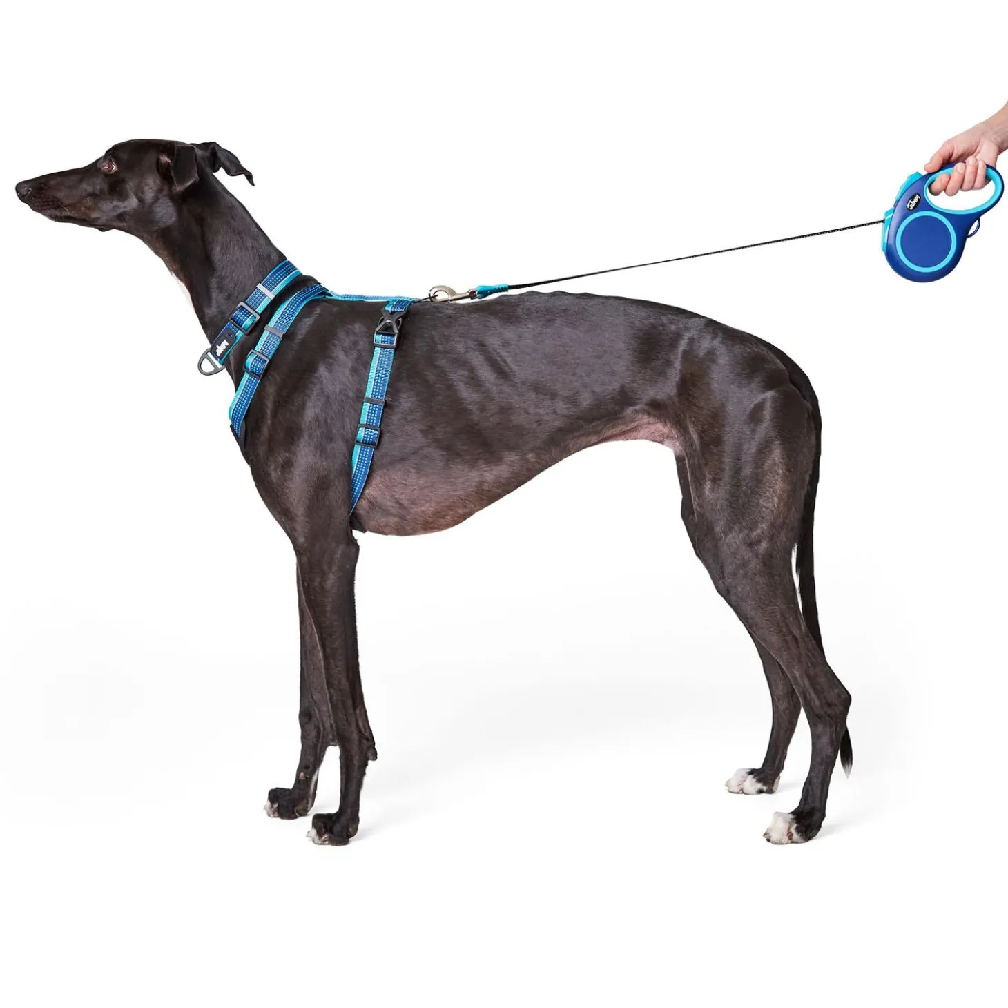 Soft Grip Ribbon Tape 16ft Retractable Blue Dog Leash