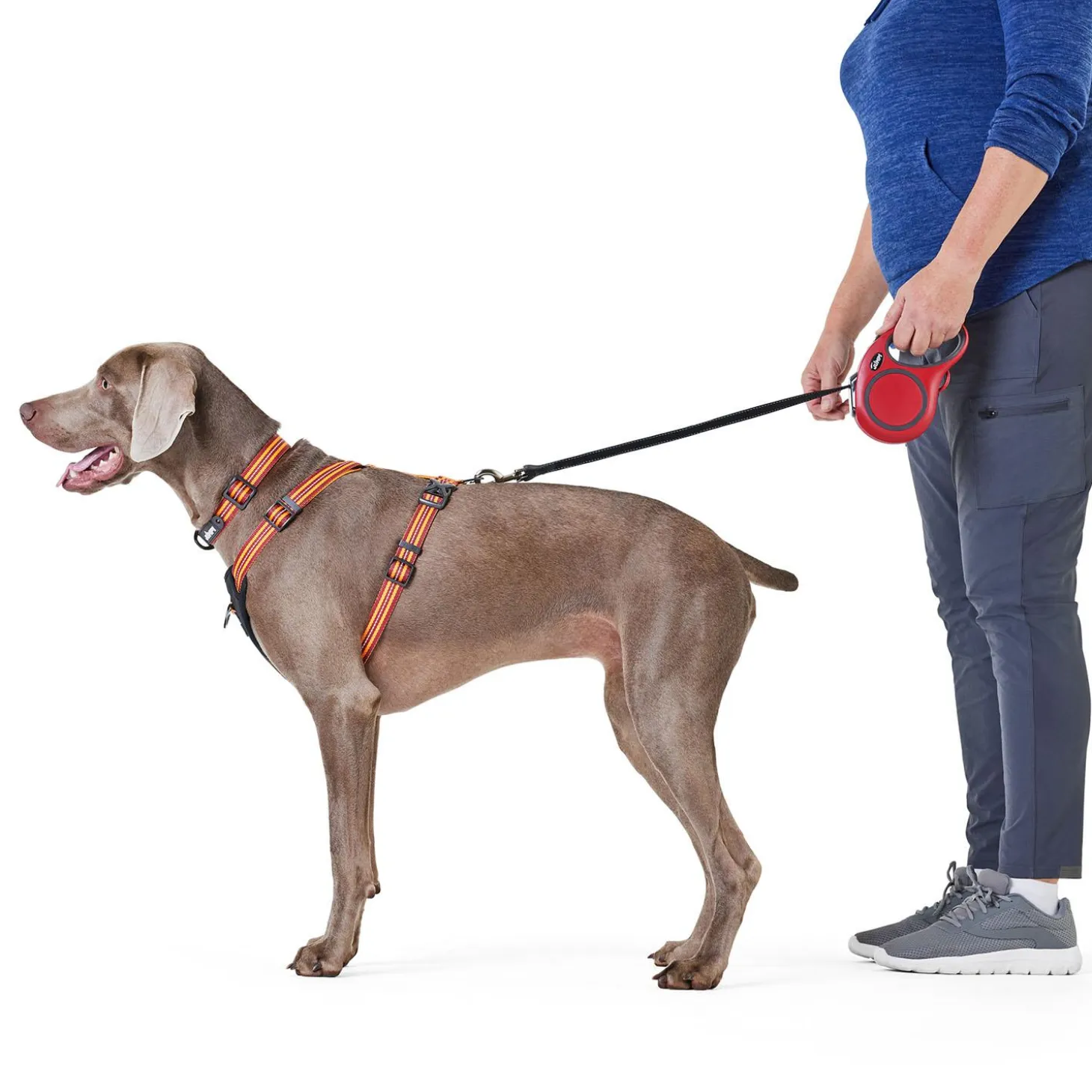 Soft Grip Ribbon Tape 16ft Retractable Red Dog Leash