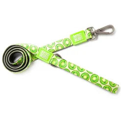 Soft Padded Neoprene 3/5in Kiwi Dog Leash