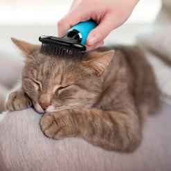 Soft Slicker Cat Brush