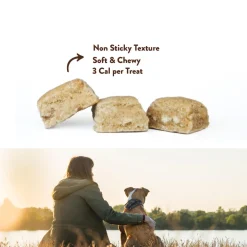 Softies Fish & Blueberries Dog Treats