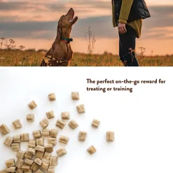 Softies PB & Bacon Dog Treats