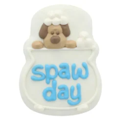 Spa Day Cookie