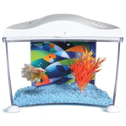 Spacious Betta Home