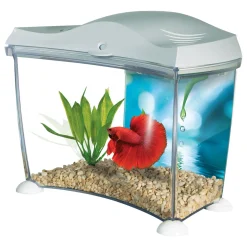 Spacious Betta Home