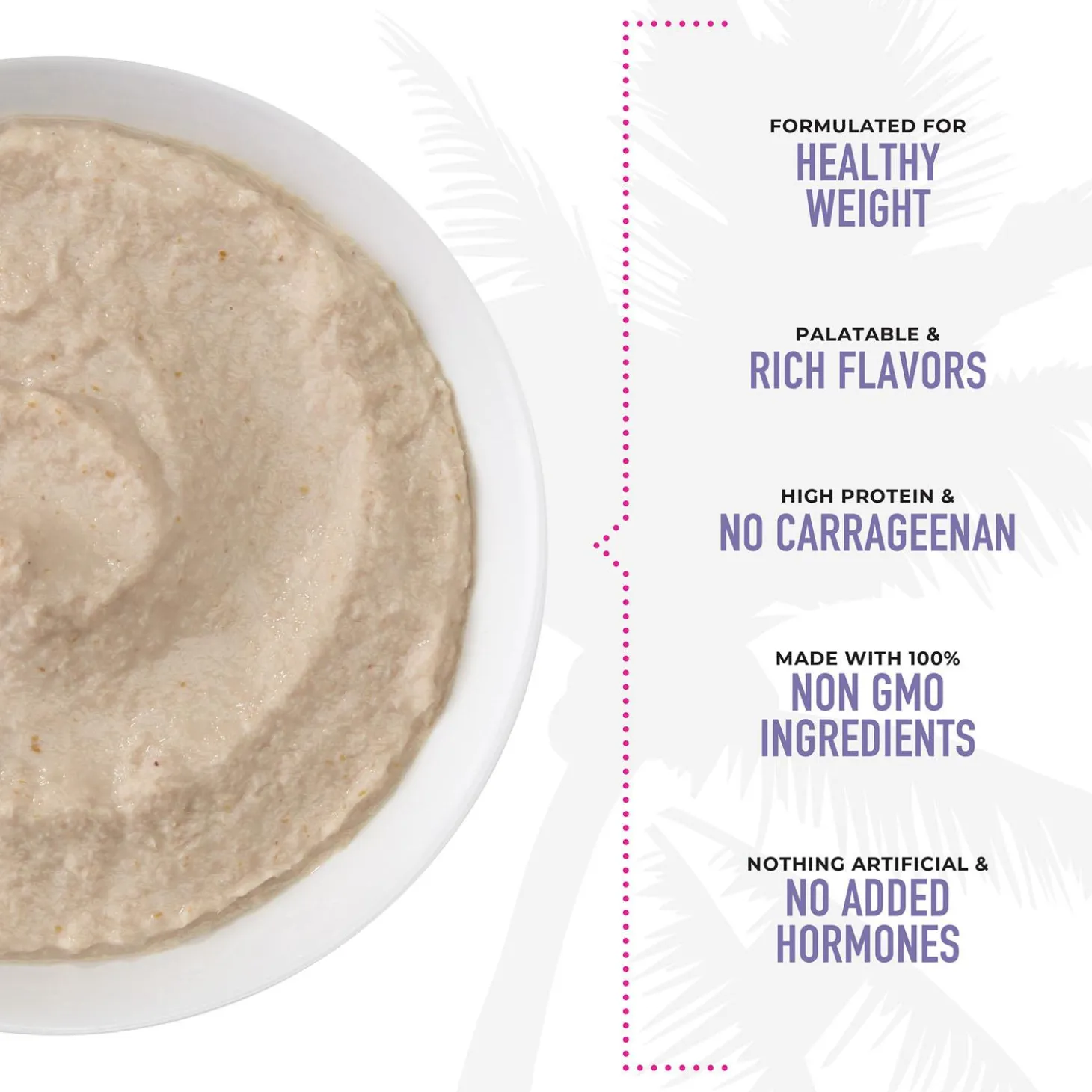 Special LIGHT Chicken, Turkey & Pumpkin Recipe in Broth Cat Food