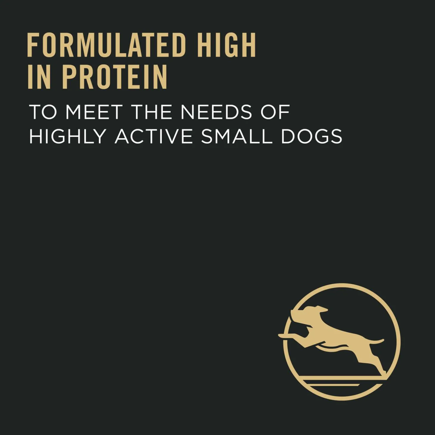 Specialized Chicken & Rice Formula Small Breed Adult Dog Food