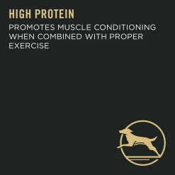 Specialized Chicken & Rice Formula Large Breed Adult Dog Food