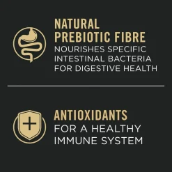 Specialized Sensitive Skin & Stomach Salmon & Rice Formula Adult Dog Food