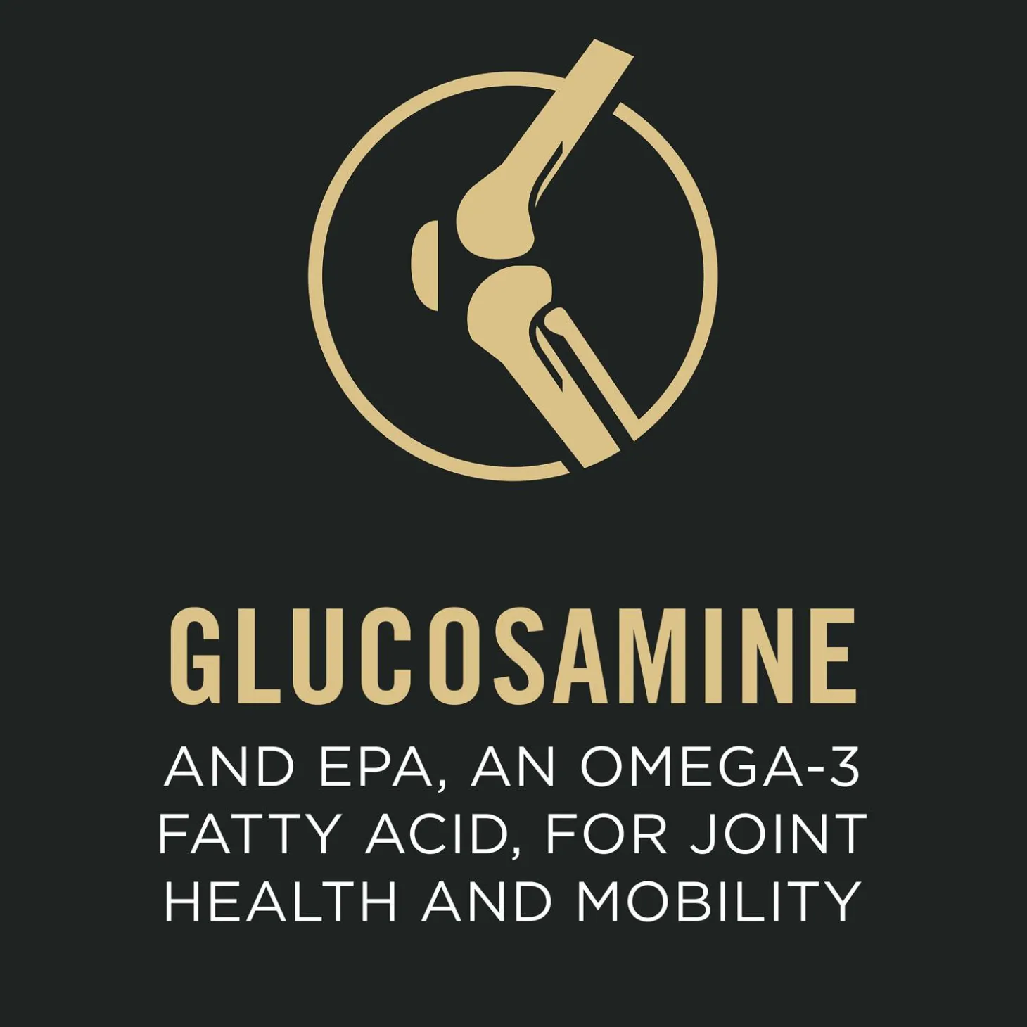 Specialized Shredded Blend Chicken & Rice Formula Small Breed Adult 7+ Dog Food