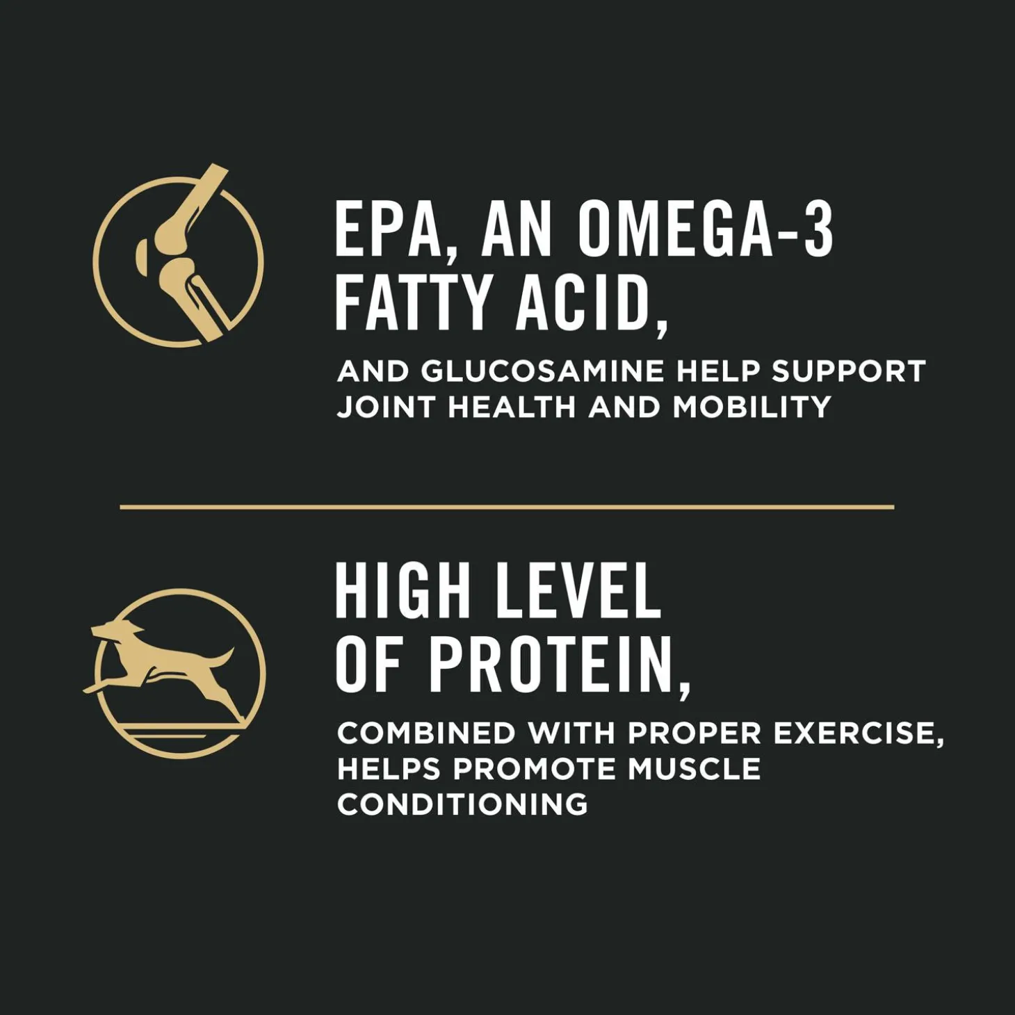 Specialized Shredded Blend Chicken & Rice Formula Large Breed Adult Dog Food