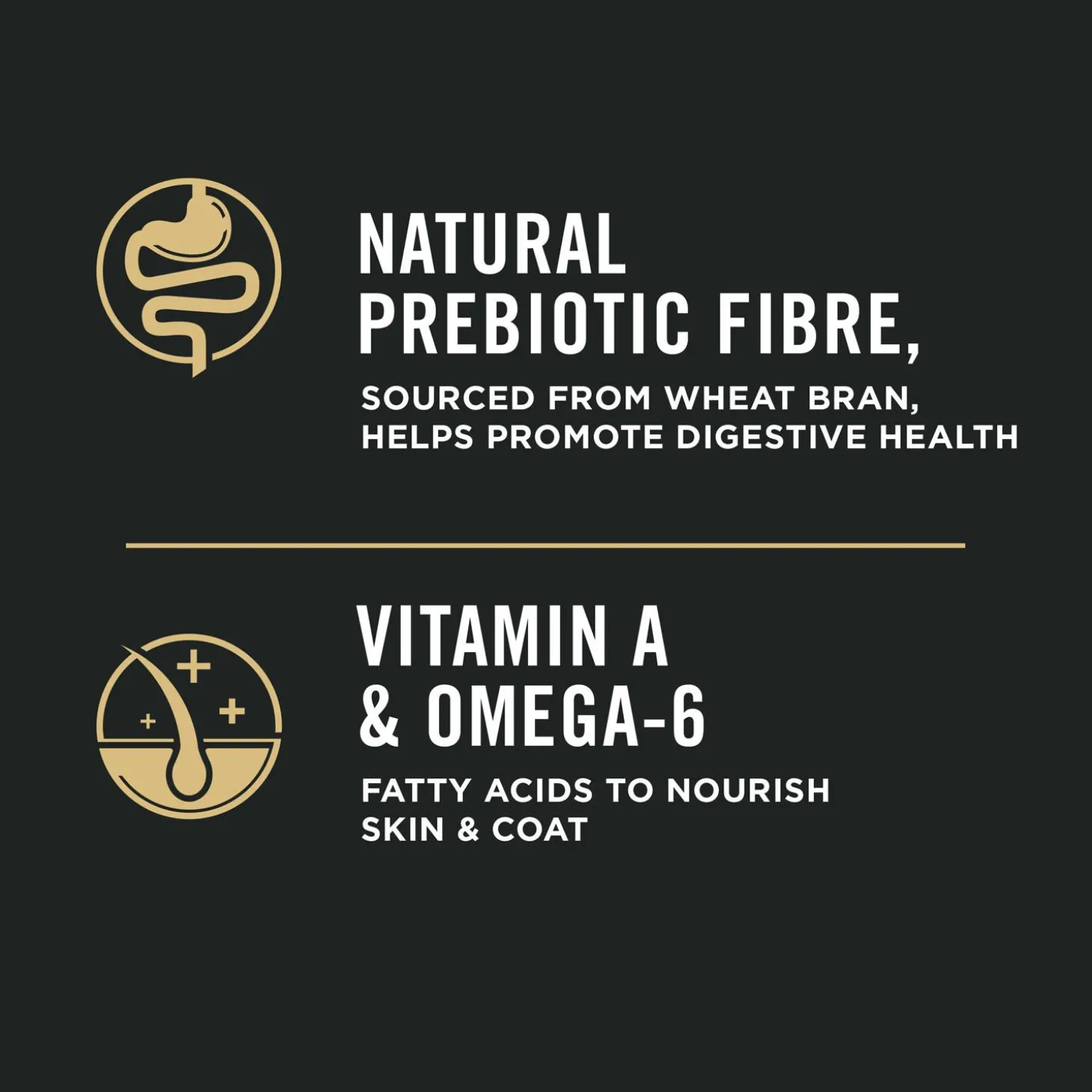 Specialized Shredded Blend Chicken & Rice Formula Large Breed Adult Dog Food