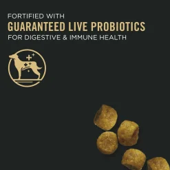 Specialized Toy Breed Chicken & Rice Formula Adult Dog Food