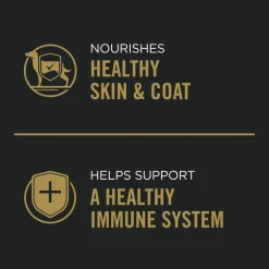 Specialized Weight Management Turkey & Rice Entree Adult Dog Food