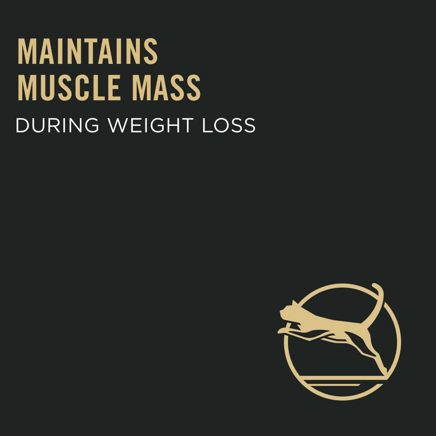 Specialized Weight Management Chicken & Rice Formula Adult Cat Food