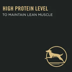 Specialized Weight Management Chicken & Rice Formula Adult Dog Food