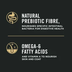 Specialized Weight Management Chicken & Rice Formula Adult Dog Food