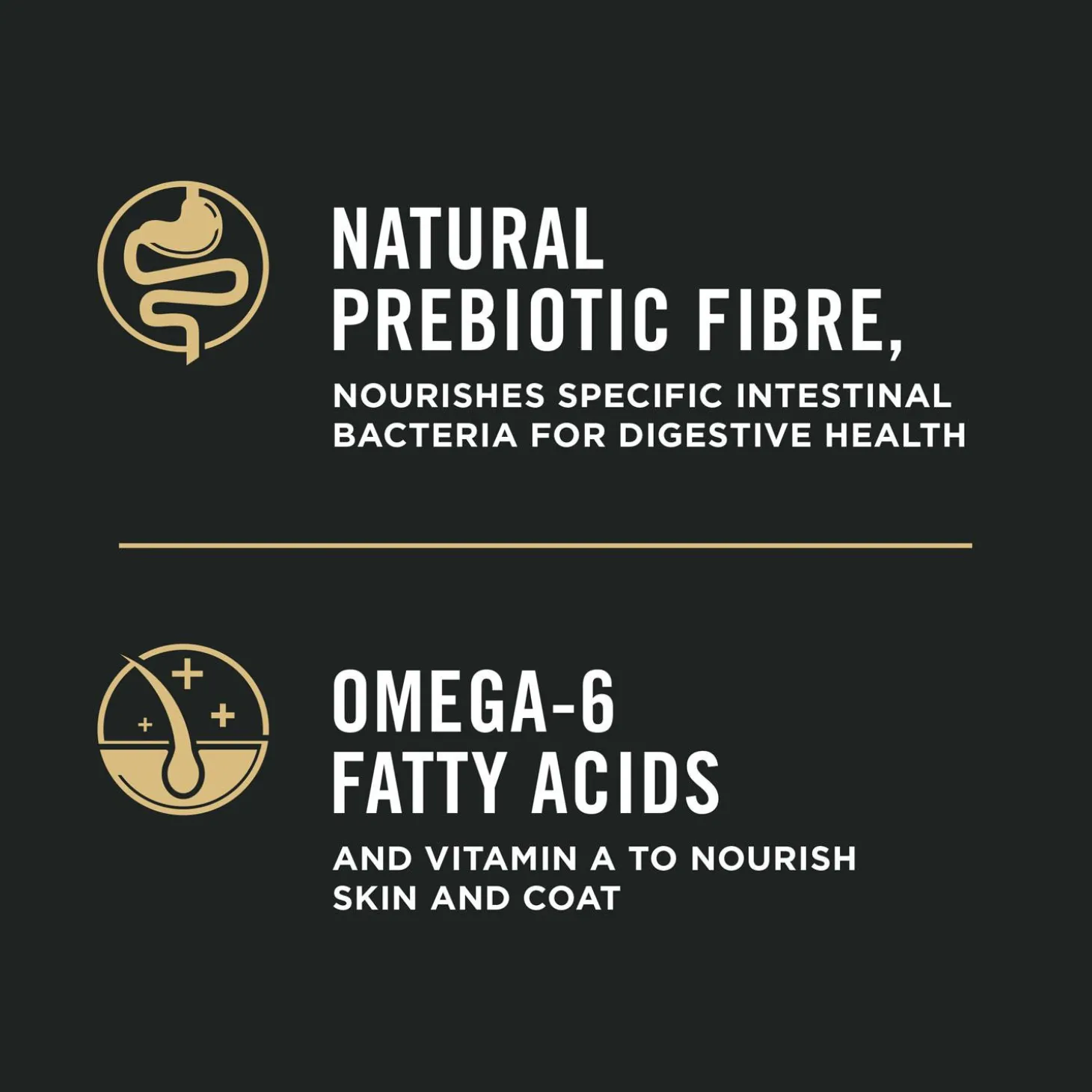 Specialized Weight Management Chicken & Rice Formula Adult Dog Food