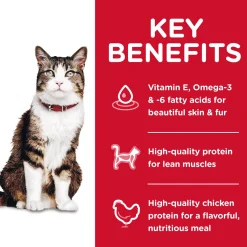 Specialty Hairball Control Chicken Recipe Adult Cat Food