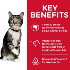 Specialty Oral Care Chicken Recipe Adult Cat Food