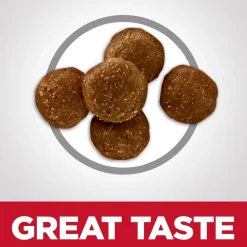 Specialty Perfect Digestion Chicken, Barley & Whole Oats Recipe Adult 7+ Cat Food