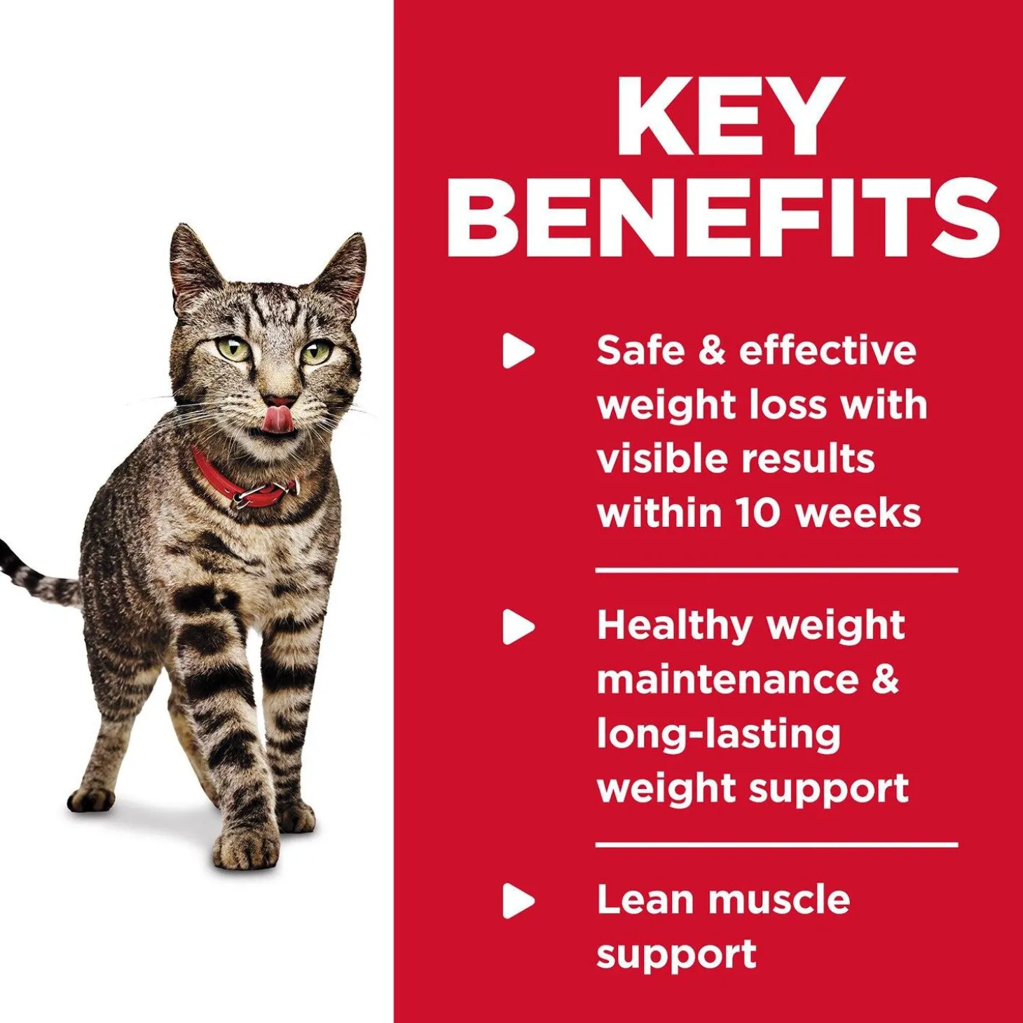 Specialty Perfect Weight Roasted Vegetable & Chicken Medley Adult Cat Food